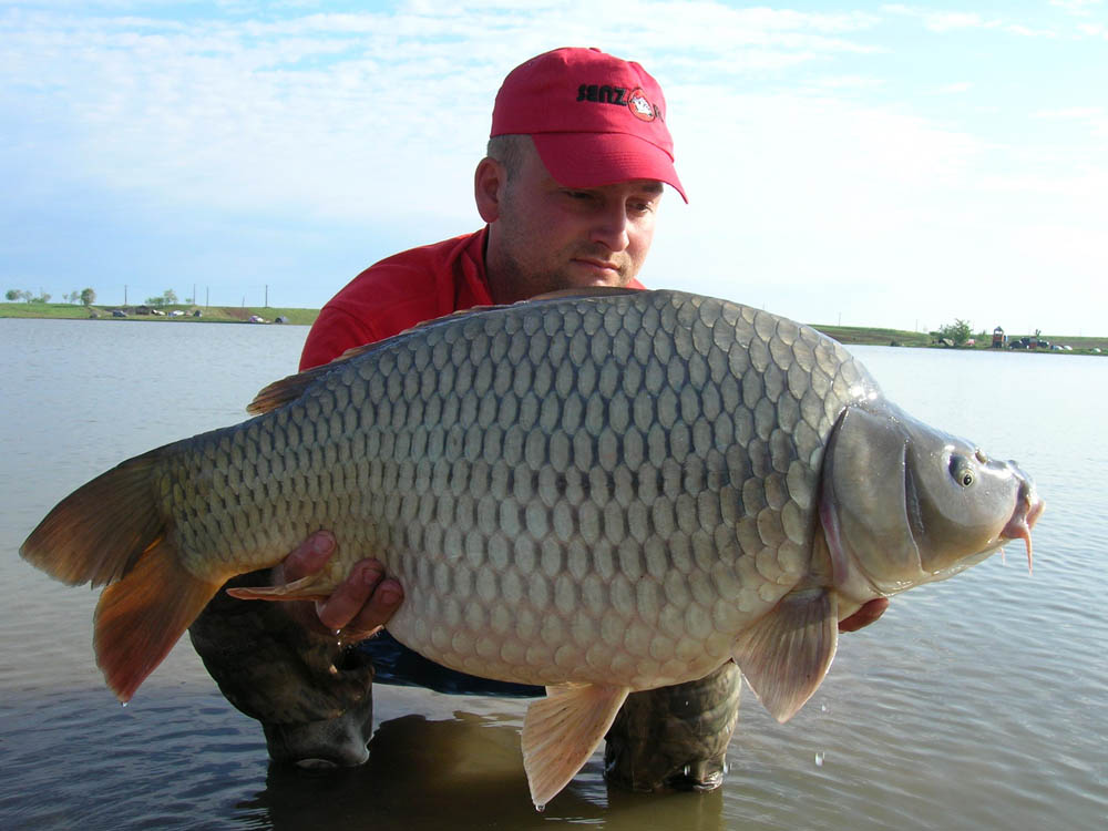 BRIGADA DIVERSE  - DSCN3515.JPG